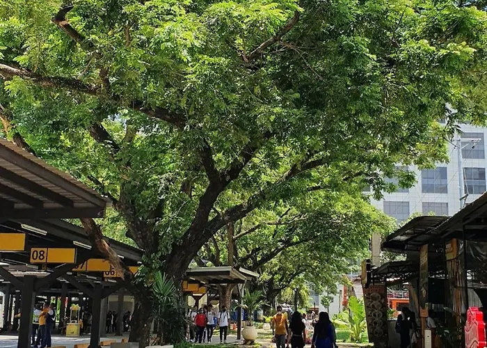 Place To & Enjoy At It Park Cebu